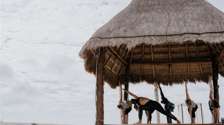 The Reef Playacar Resort & Spa Health