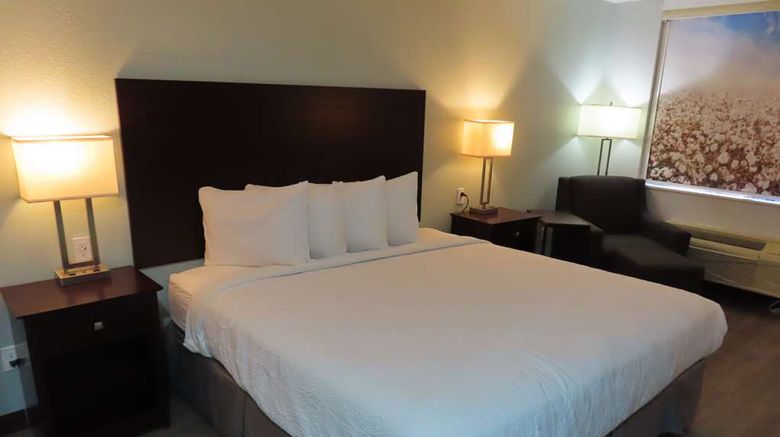 <b>Best Western Childress West Hotel Room</b>. Images powered by <a href="https://iceportal.shijigroup.com/" title="IcePortal" target="_blank">IcePortal</a>.
