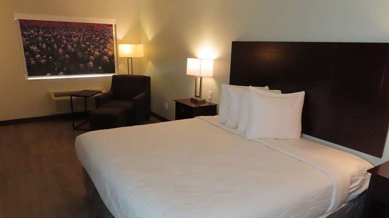 <b>Best Western Childress West Hotel Room</b>. Images powered by <a href="https://iceportal.shijigroup.com/" title="IcePortal" target="_blank">IcePortal</a>.