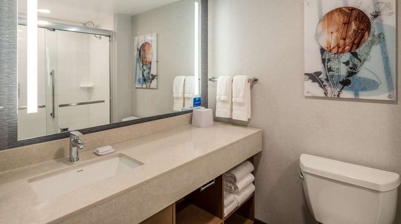 <b>Homewood Stes by Hilton Toledo Downtown Room</b>. Images powered by <a href="https://iceportal.shijigroup.com/" title="IcePortal" target="_blank">IcePortal</a>.