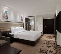 Hilton Garden Inn Pune Hinjawadi Room
