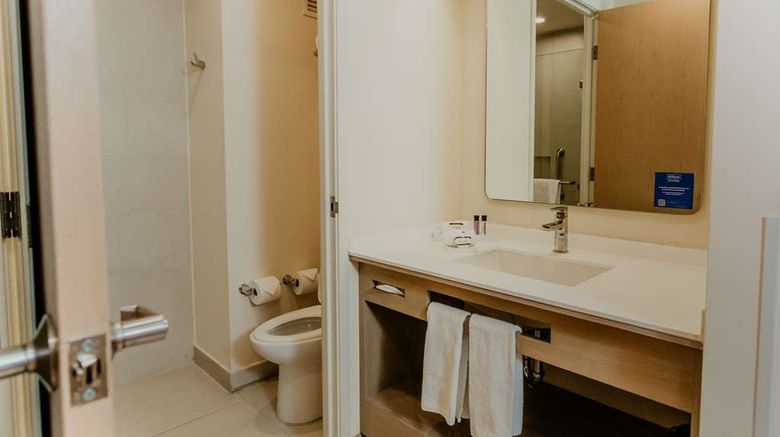 <b>Hilton Garden Inn Silao Aeropuerto Bajio Room</b>. Images powered by <a href="https://iceportal.shijigroup.com/" title="IcePortal" target="_blank">IcePortal</a>.