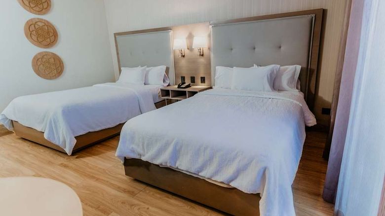 <b>Hilton Garden Inn Silao Aeropuerto Bajio Room</b>. Images powered by <a href="https://iceportal.shijigroup.com/" title="IcePortal" target="_blank">IcePortal</a>.