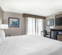 Best Western Plus Laurel Room