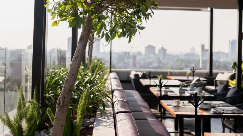 <b>HS Hotsson Hotel CDMX Condesa Sur Restaurant</b>. Images powered by <a href="https://iceportal.shijigroup.com/" title="IcePortal" target="_blank">IcePortal</a>.