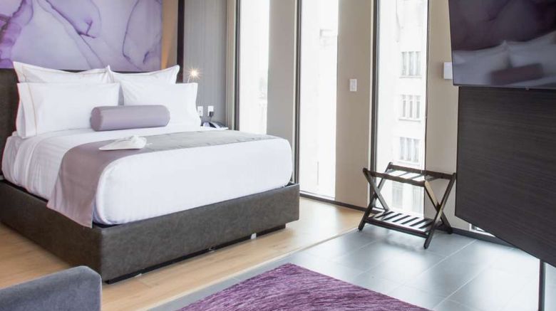 <b>HS Hotsson Hotel CDMX Condesa Sur Room</b>. Images powered by <a href="https://iceportal.shijigroup.com/" title="IcePortal" target="_blank">IcePortal</a>.