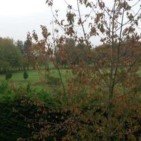 Golf Hotel Colvert