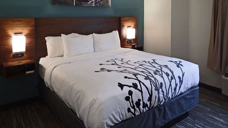 Sleep Inn & Suites Room