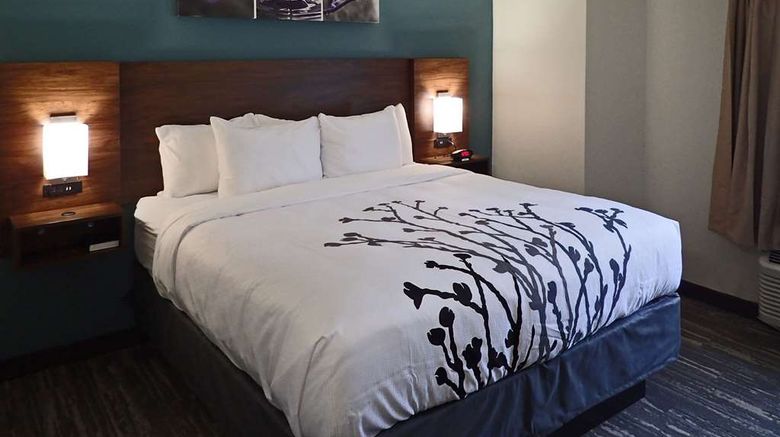 <b>Sleep Inn & Suites Room</b>. Images powered by <a href="https://iceportal.shijigroup.com/" title="IcePortal" target="_blank">IcePortal</a>.