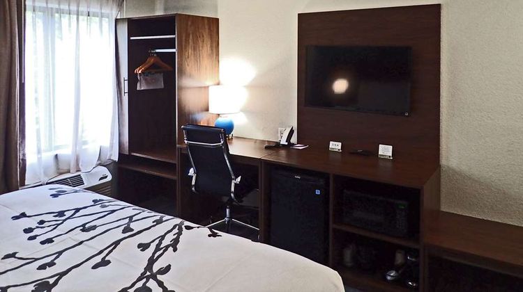 Sleep Inn & Suites Room