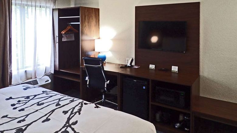 <b>Sleep Inn & Suites Room</b>. Images powered by <a href="https://iceportal.shijigroup.com/" title="IcePortal" target="_blank">IcePortal</a>.