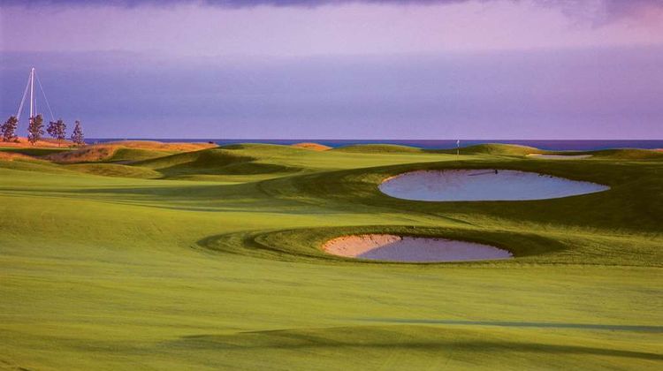 Fox Harbr Golf Resort And Spa Golf