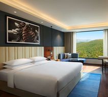 Hyatt Regency Dehradun Room