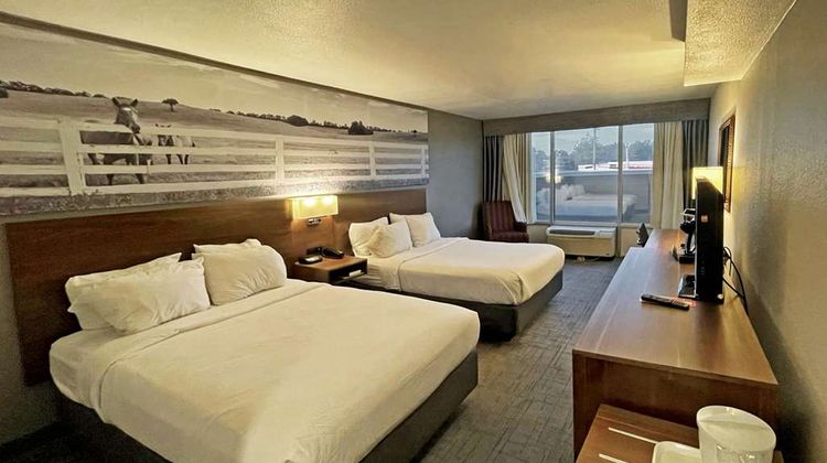 Clarion Pointe Room