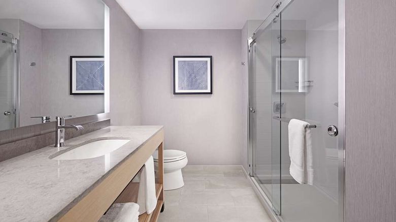 <b>Hyatt Place Toronto Brampton Room</b>. Images powered by <a href="https://iceportal.shijigroup.com/" title="IcePortal" target="_blank">IcePortal</a>.