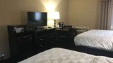 Wyndham Garden Dover Room