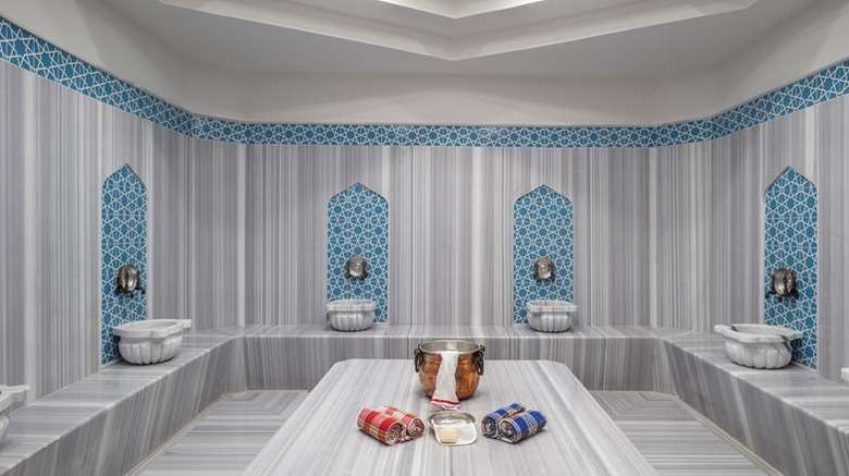 <b>Hilton Garden Inn Erzurum Recreation</b>. Images powered by <a href="https://iceportal.shijigroup.com/" title="IcePortal" target="_blank">IcePortal</a>.