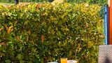 Ibis Budget Millau Viaduc Restaurant