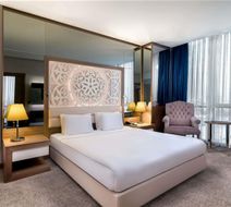 Downtown Ankara Hotel Room