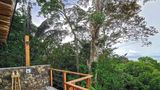 <b>Lapa Rios Ecolodge Suite</b>. Images powered by <a href="https://iceportal.shijigroup.com/" title="IcePortal" target="_blank">IcePortal</a>.