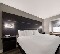 Best Western SeaWorld San Antonio Room