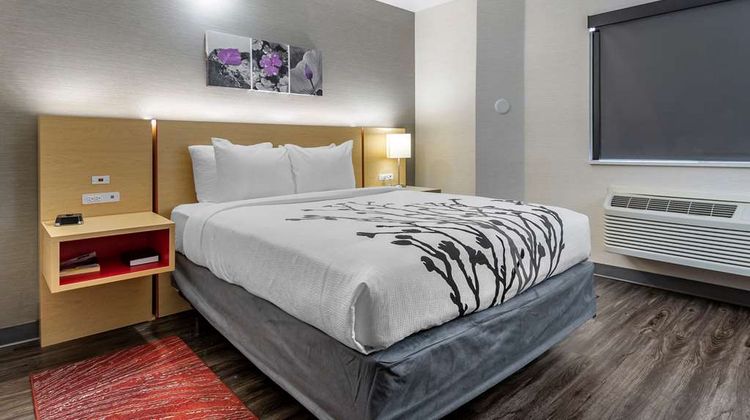 Sleep Inn and Suites Jerome - Twin Falls Room
