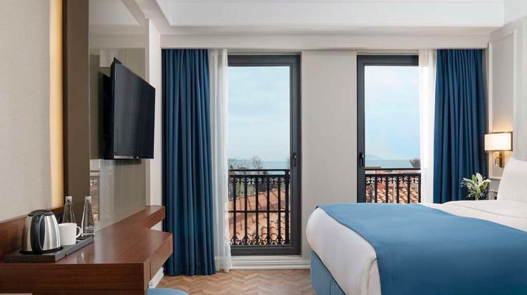 Royan Hotel Hagia Sophia, Radisson Indiv Room