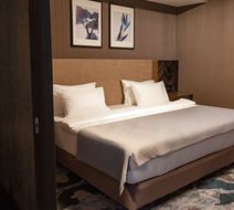 Park Hotel Vladikavk Room
