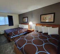 SureStay Plus Hotel by BW Grand Island Room