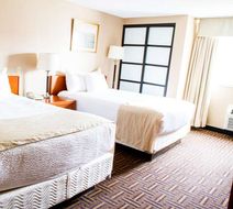 Wyndham Garden Medicine Hat Room