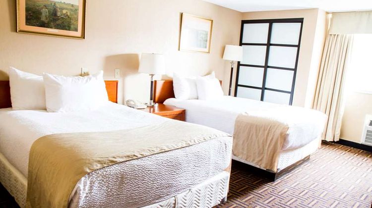 Wyndham Garden Medicine Hat Room