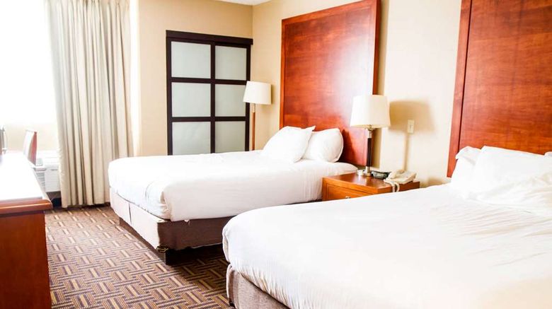 <b>Wyndham Garden Medicine Hat Room</b>. Images powered by <a href="https://iceportal.shijigroup.com/" title="IcePortal" target="_blank">IcePortal</a>.