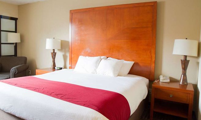 Wyndham Garden Medicine Hat Room