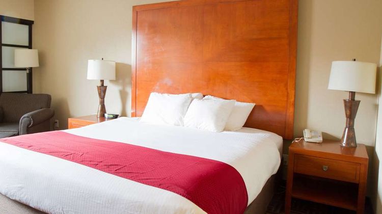 Wyndham Garden Medicine Hat Room