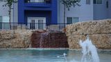 <b>Best Western Lubbock West Inn & Suites Exterior</b>. Images powered by <a href="https://iceportal.shijigroup.com/" title="IcePortal" target="_blank">IcePortal</a>.