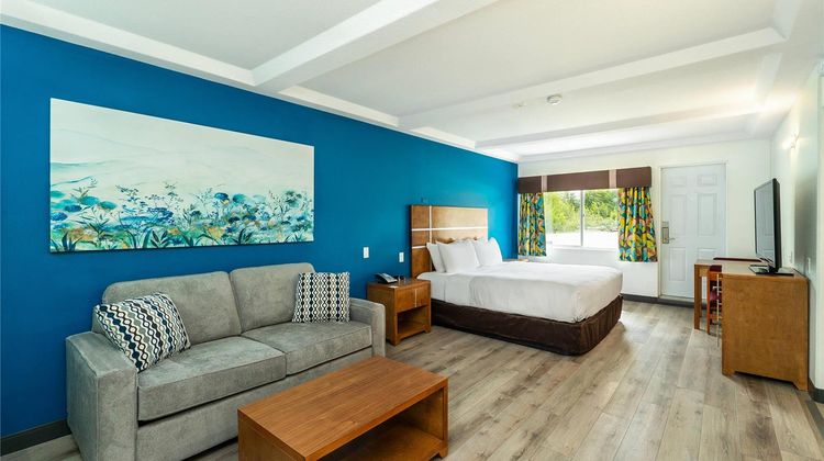Quality Inn and Suites Clearwater Room