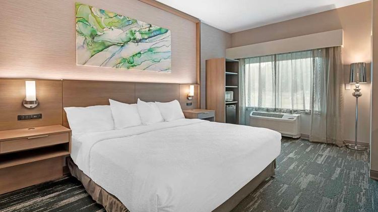 Best Western Plus Grand Rapids Room