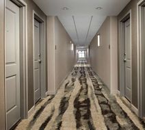 Homewood Stes by Hilton Louisville Airpt Lobby