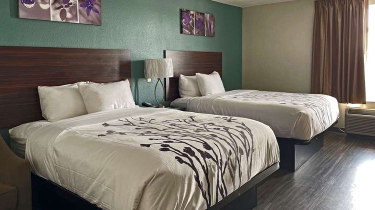 Sleep Inn and Suites Foley Room