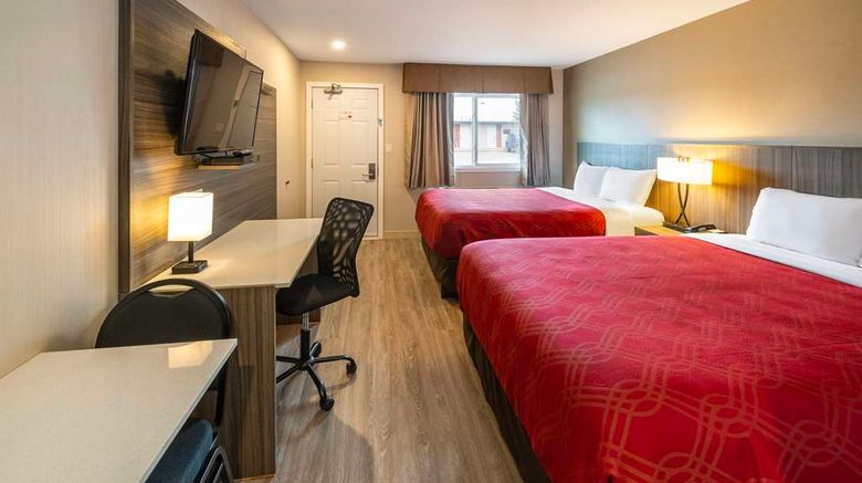 <b>Econo Lodge Inn and Suites Pincher Creek Room</b>. Images powered by <a href="https://iceportal.shijigroup.com/" title="IcePortal" target="_blank">IcePortal</a>.