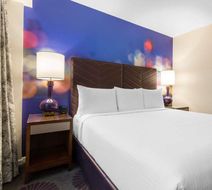 Chicago Hotel Coll Magnificent Mile Room