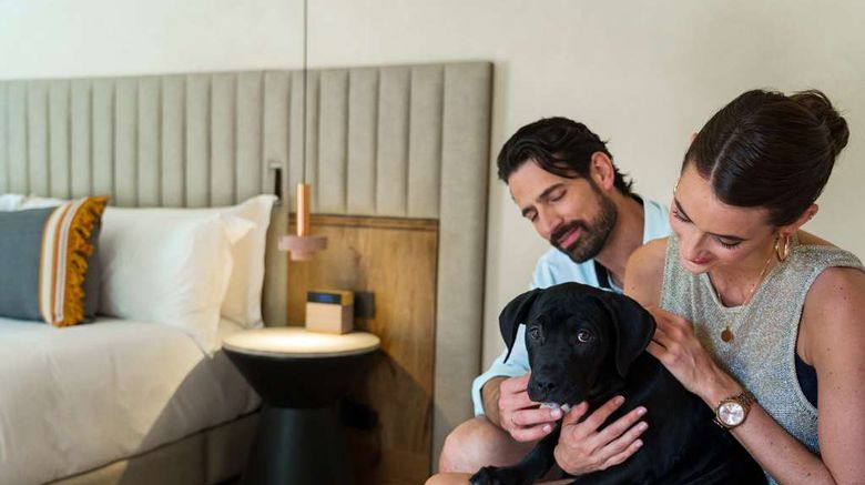 <b>Numu Boutique Hotel - Unbound Collection Other</b>. Images powered by <a href="https://iceportal.shijigroup.com/" title="IcePortal" target="_blank">IcePortal</a>.