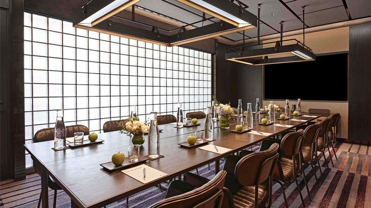 Pullman Singapore Orchard Meeting