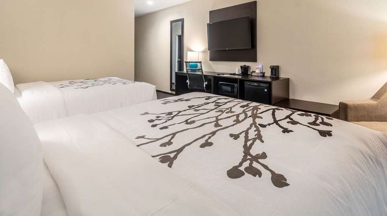 <b>Sleep Inn Room</b>. Images powered by <a href="https://iceportal.shijigroup.com/" title="IcePortal" target="_blank">IcePortal</a>.