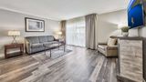 Forest Suites Resort Suite