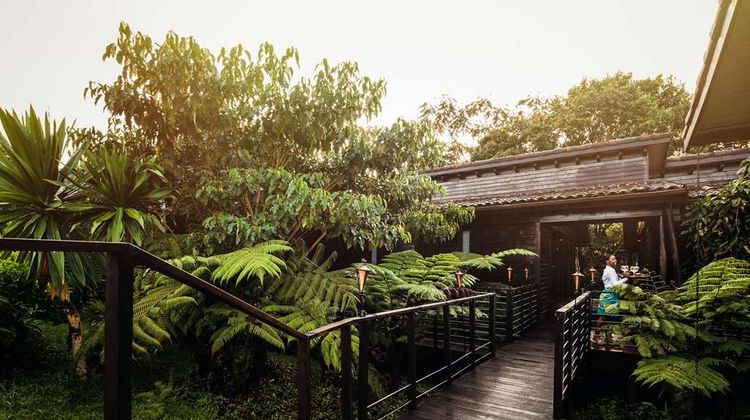 One&Only Nyungwe House Other