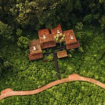 One&Only Nyungwe House