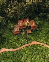 One&Only Nyungwe House