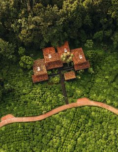 One&Only Nyungwe House