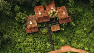One&Only Nyungwe House